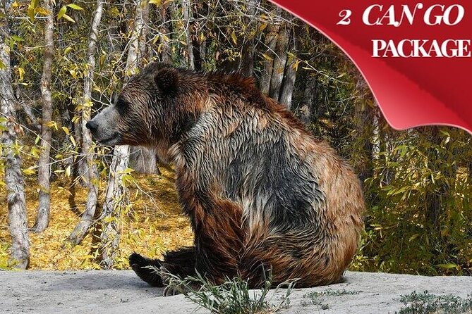 Yellowstone, Grand Teton, and Hot Springs: Small Group 5-Day Tour - Tour Overview