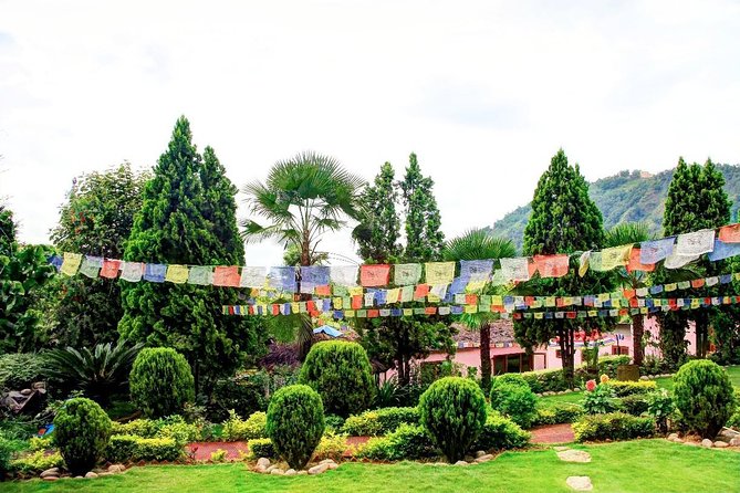 Yoga Experience Day Trip With Private Transfer From Kathmandu - Yoga Practices Offered