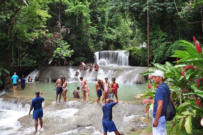 YS Falls and the Pelican Bar Adventure Tour From Ocho Rios