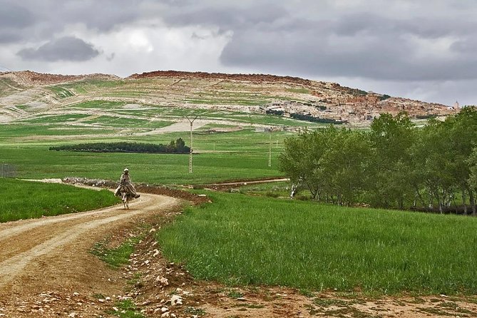 Zat Valley and Atlas Mountains Private Day Trip From Marrakech