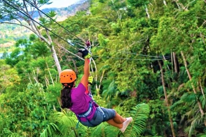 Zipline and Sloth Sanctuary Private Tour - Sloths and Their Habitat