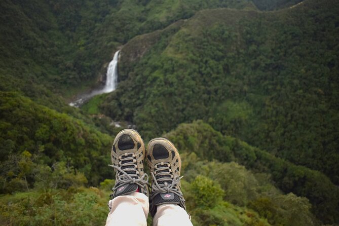 Zipline Canopy Tour