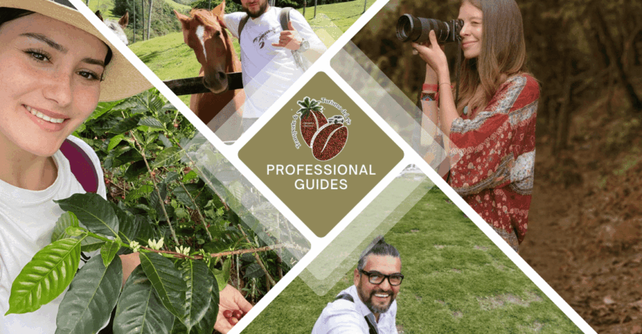 2 Best Guided Tours In Salento Colombia