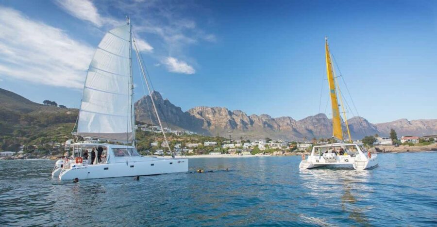Cape Town: V&A Waterfront Champagne Cruise