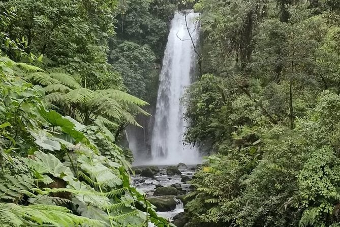 Combo Tour Poas Volcano and La Paz Waterfall and Coffee Tour