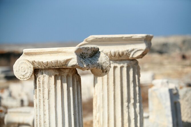 Explore Αncient Island Of Delos Tour - Professional Local Guide and Personalized Experience