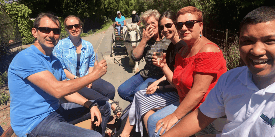 Franschhoek: 2h Premium Wine Tasting & Carriage Trail