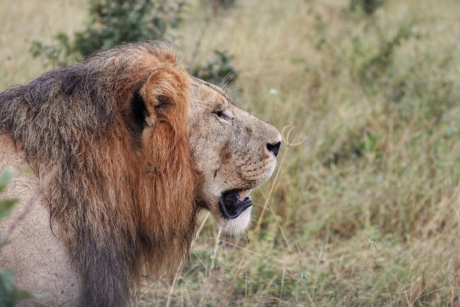 2 Best 3 Day Tours In Maun