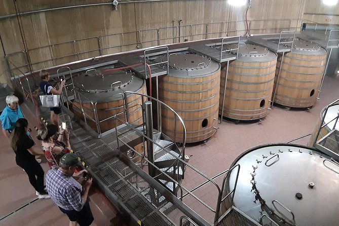 Maipo Valley Boutique Wine Tour: Haras De Pirque + Perez Cruz