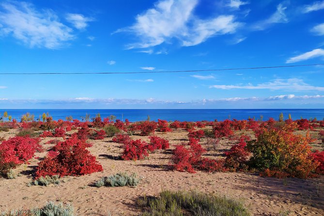 Marvellous 3 Days Around Issyk-Kul Lake