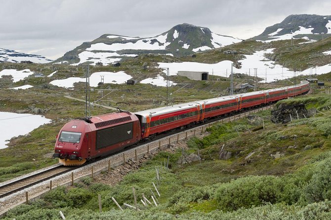 Private Guided Tour to Oslo - Nærøyfjord Cruise & Flåm Railway - Included Experiences