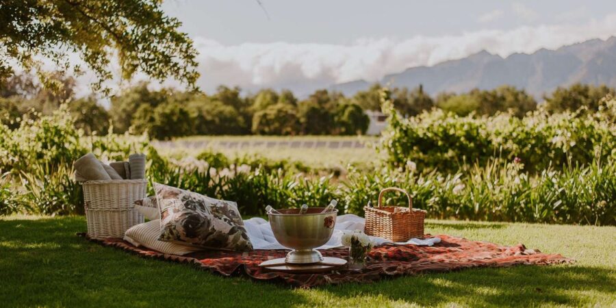 Private Top Award-Winning Cape Wine Tasting Full Day Tour - Starting Location and Itinerary