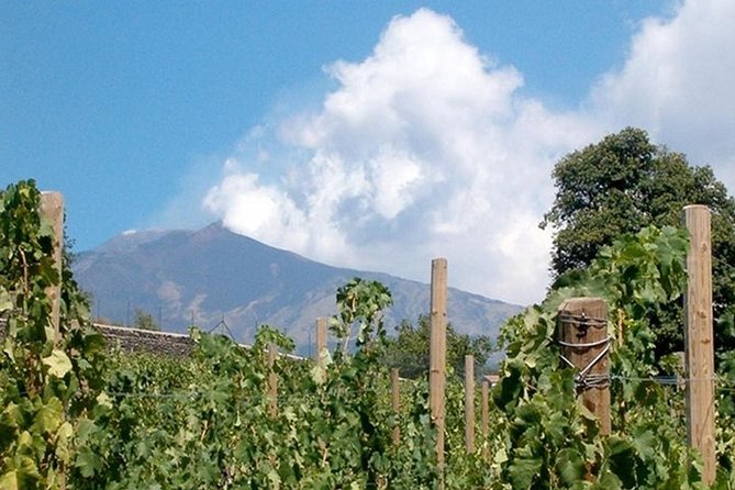 Private Visit to the Cellars of Etna With Wine Tasting