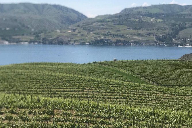 Whitewater and Wine: Wenatchee River Whitewater Rafting and Winery Tour