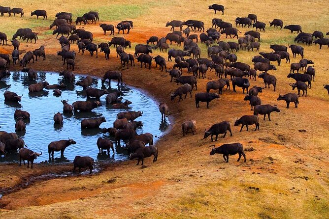 3-Days Maasai Mara Camping Safari on 4×4 Land Cruiser Jeep