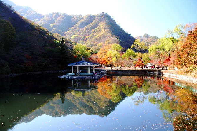 Classic Naejangsan National Park One Day Tour (Autumn Limited） - Itinerary and Activities