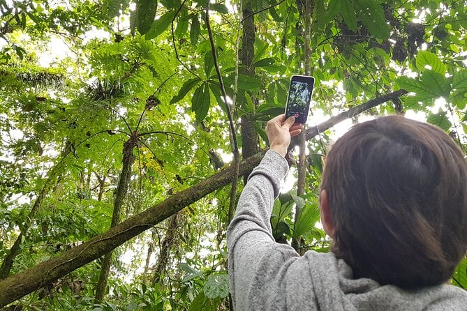 Howler Monkey Tour - Filandia Views And Gastronomy - Pickup Information