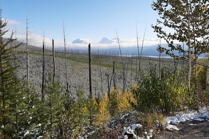 Nature Walk in Glacier National Park - Exploring Glacier National Park