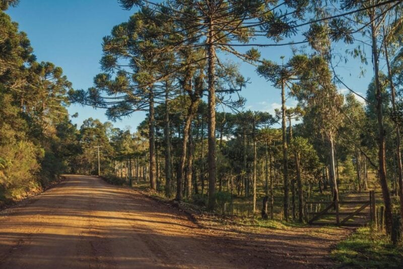 Porto Alegre to Gramado and Canyons Guided Tour in English - Booking Details