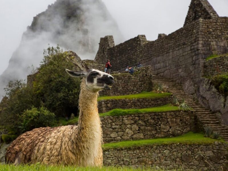 Private 5d Tour | Machu Picchu, Rainbow Mountain | 3☆Hotel - Included Services