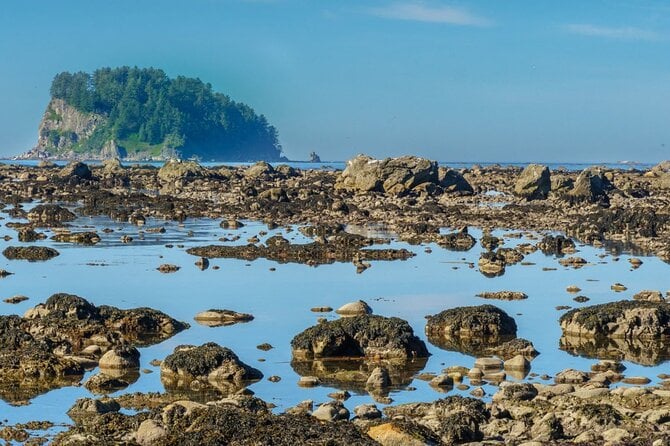 Private Day Hike In The Ozette Triangle