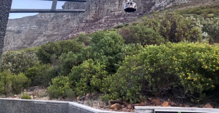 Table Mountain, Kirstenbosch Gardens & Constantia Wine Tour
