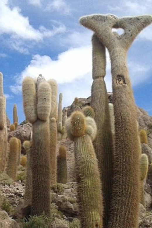 Uyuni Salt Flat 3 Days Private |Uyuni - Uyuni| Hotel 3 ☆☆☆ - Day 1 Highlights