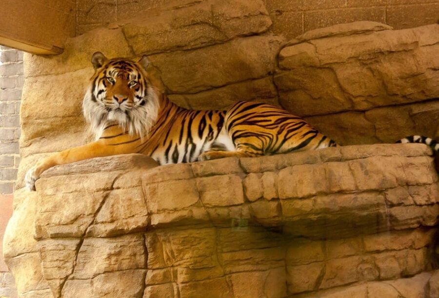 2 Best 2 Day Tours In Sawai Madhopur