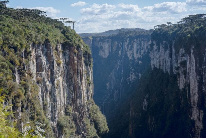 Porto Alegre to Gramado and Canyons Guided Tour in English - Transportation Provided