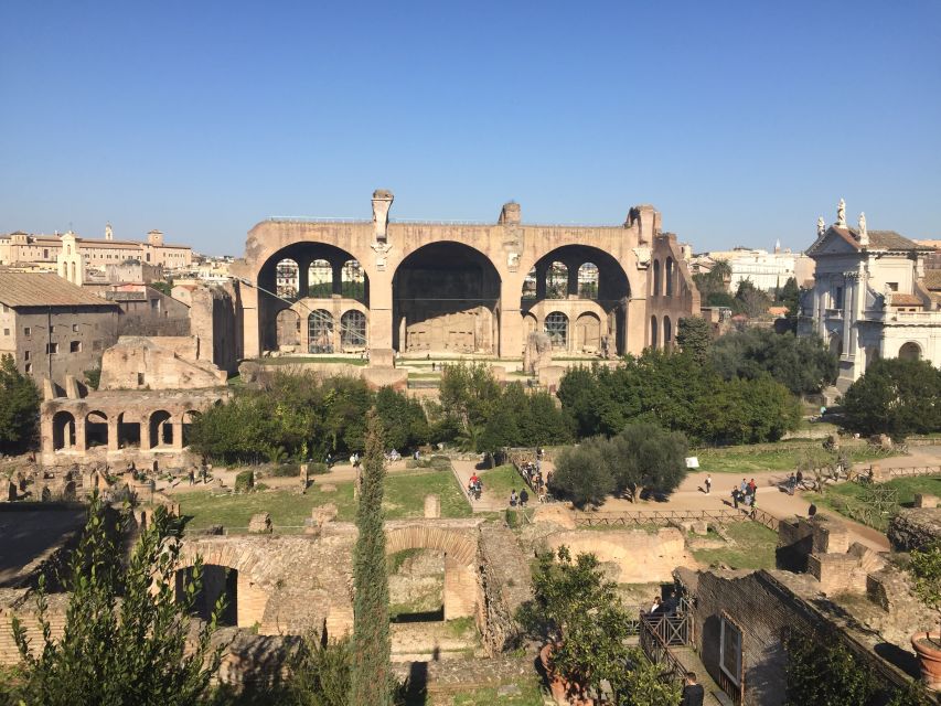 Rome: Colosseum, Palatine Hill and Roman Forum Guided Tour - Meeting Point and Requirements