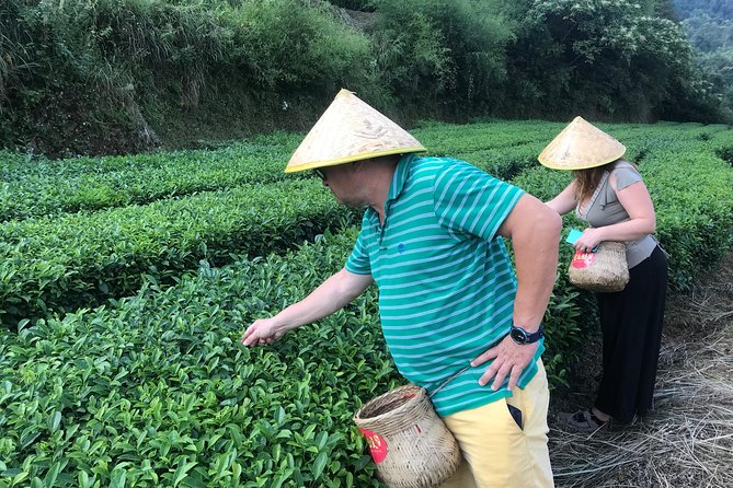 4 Days Zhangjiajie Avatar Panorama Tour & Activities( Hand-picked Featured Inn） - Exploring Zhangjiajies Avatar Scenery