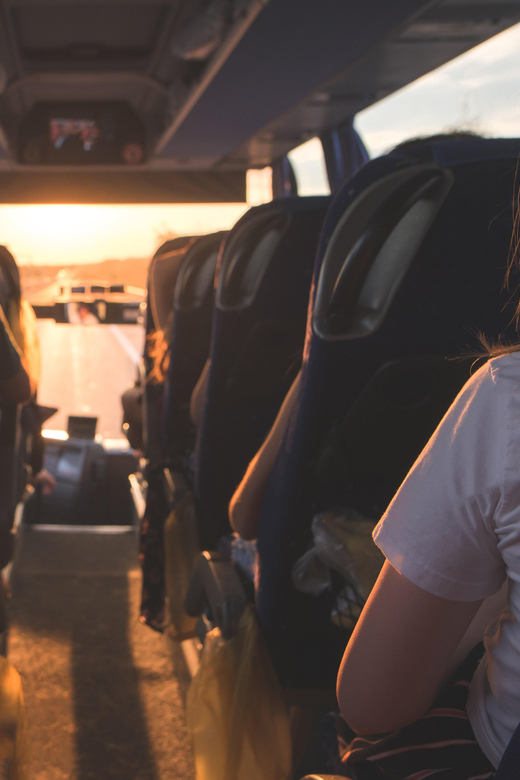 From Cancun: One Way Shared Transfer to Playa Del Carmen