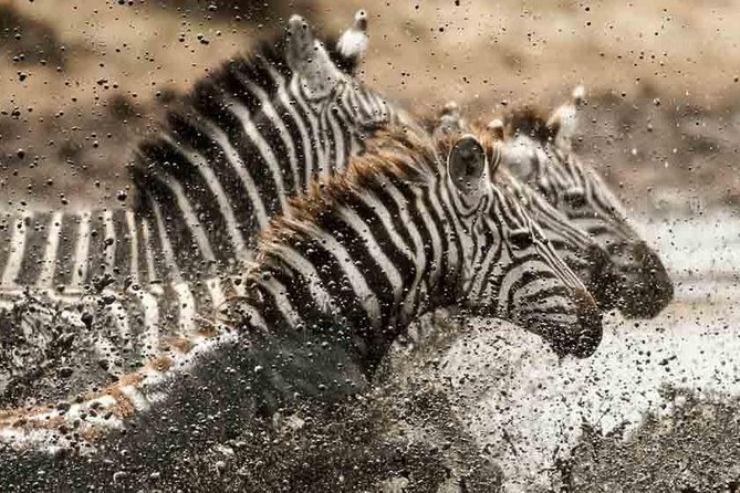 Tanzania Classic Safari – 7 Days