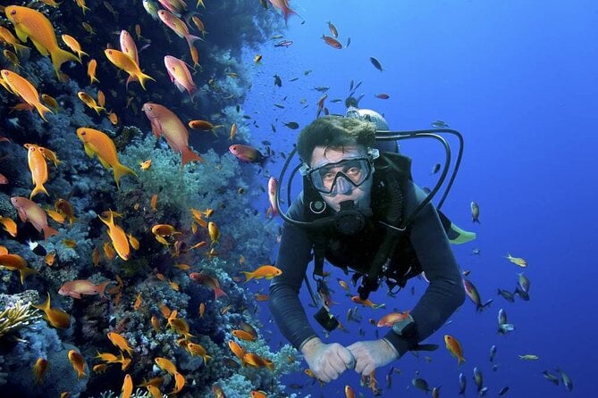 Full Day Catalina Island Tour With Transportation From the Airport to Hotel - Booking Your Stay