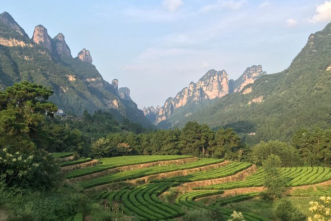 4 Days Zhangjiajie Avatar Panorama Tour & Activities( Hand-picked Featured Inn） - Pricing and Cancellation Policy