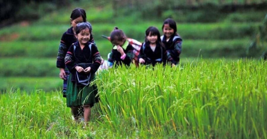 Sa Pa: 2-Day Trekking Tour With Ethnic Minority Homestay - Tour Overview