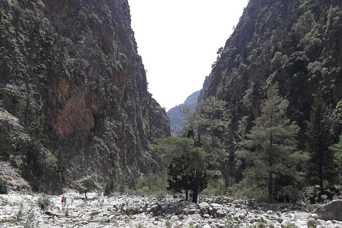 Samaria Gorge Transfer From Chania (Price per Group of 6)