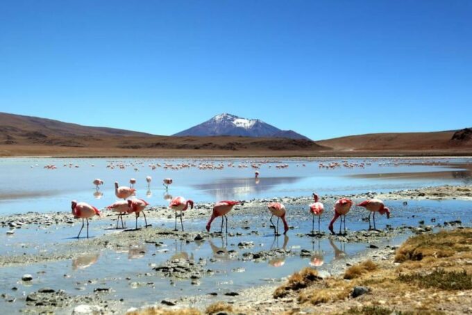 Uyuni Salt Flat 3 Days Private |Uyuni - Uyuni| Hotel 3 ☆☆☆ - Packing Essentials