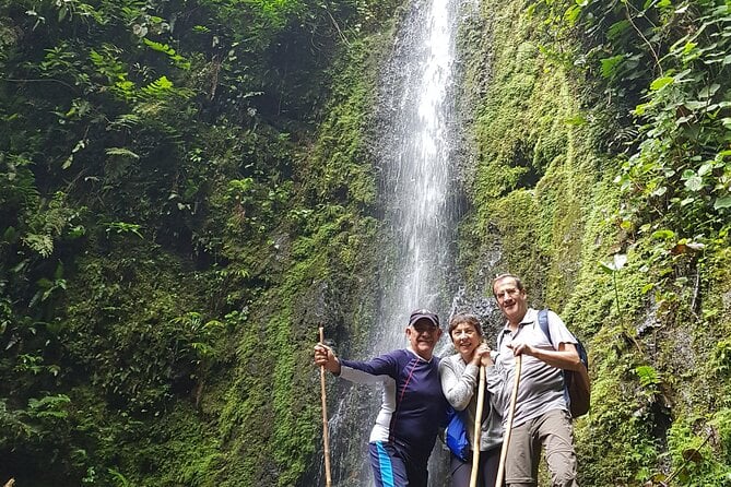 Howler Monkey Tour - Filandia Views And Gastronomy - Gastronomic Delights