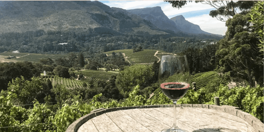 Kirstenbosch Botanical Garden and Constantia Wine Tasting