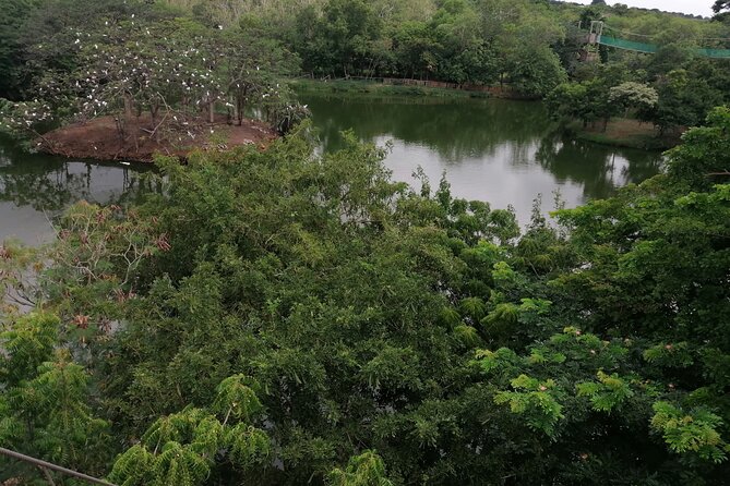Accra Zoo, Canopy Walk and Botanical Gardens Private Tour