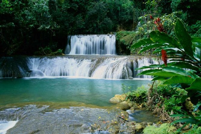Appleton and Y.S Falls Tour From Negril Hotels