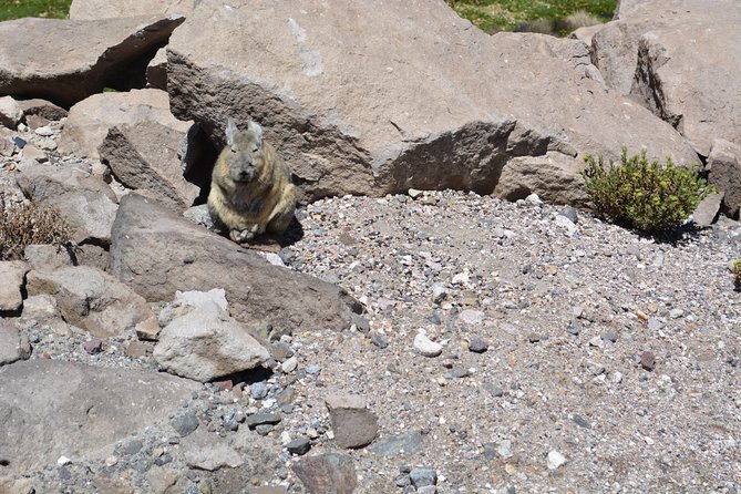Arica and Parinacota in 2 Days 1 Night