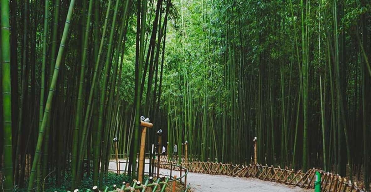 Bamboo Village & Cycling Tour in Wayanad - Key Points