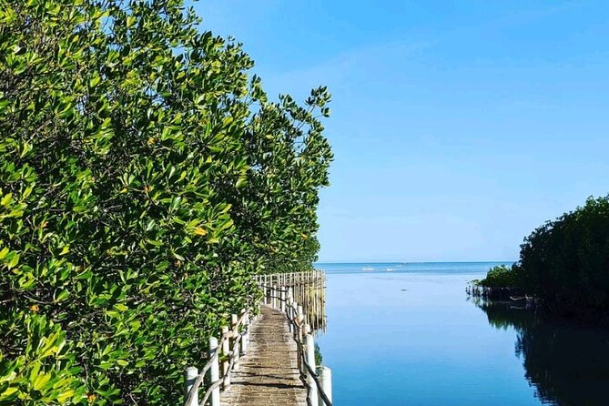 Bantayan Island Hopping Private: Virgin Island, Baigad Lagoon