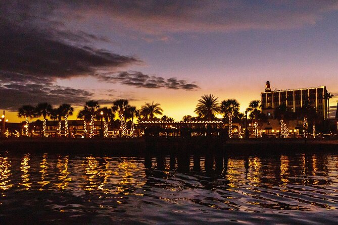 Bay to City Nights of Lights Tour by Boat and Cart