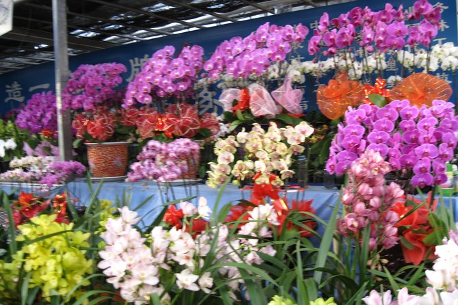 Beijing Private Shopping and Market Day Tour - Inclusions