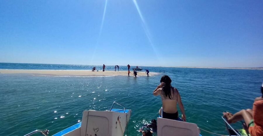 Boat Tour in Ria Formosa 3H