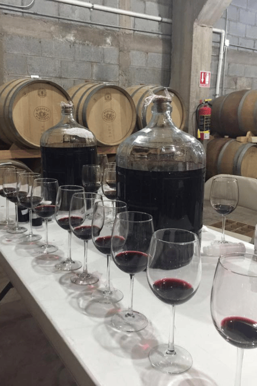 Chihuahua: Insignia Winery Wine Tasting Experience
