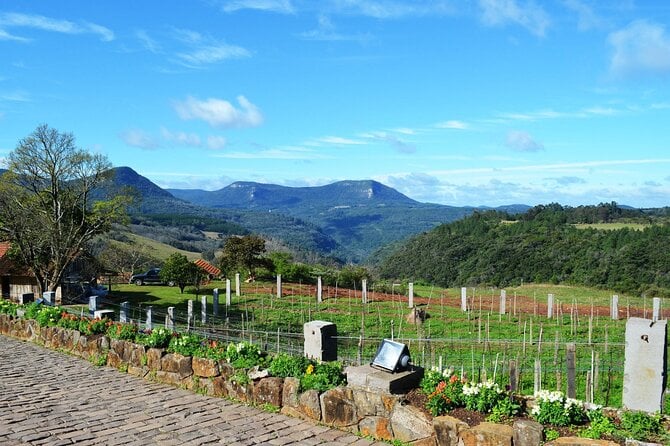 Cinnamon and Gramado Winery Tour With Special Gift - Key Points
